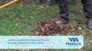How to maintain a lawn