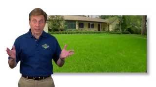 Fertilizer Basics - Sta-Green Lawn Care Program
