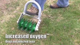 How to - Plant grass seed to repair winter grass damage