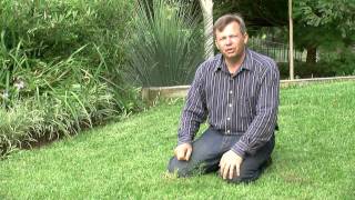Killing And Keeping Weeds Out Of Your Lawn